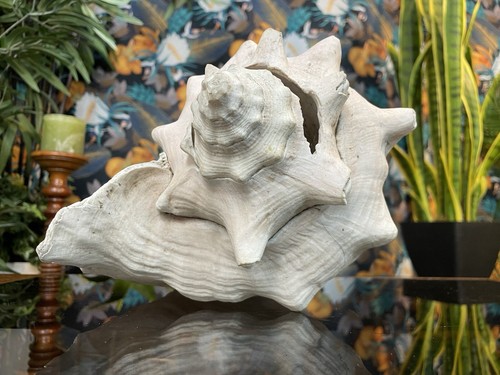 Vintage natural giant queen - vintage,