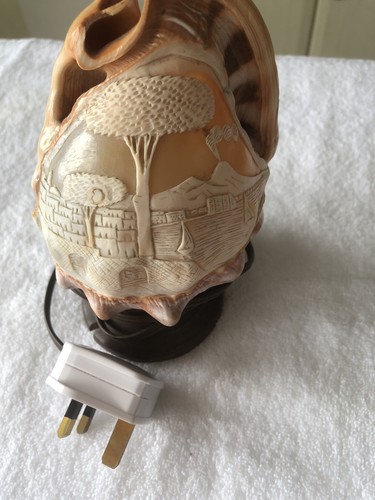 Conch shell lamp - shell,