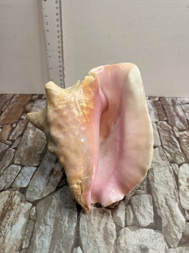 Vintage large pink queen - large,