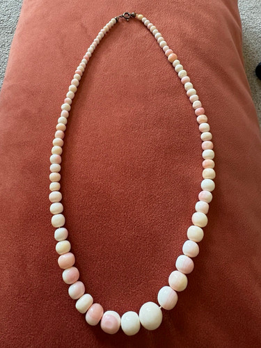 Vintage queen conch shell - queen,