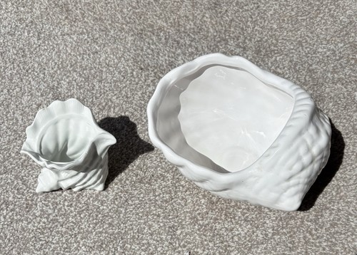 White ceramic conch - white, shell