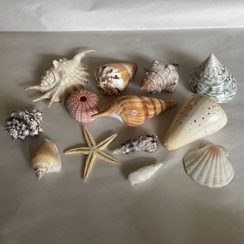 Vintage mixed sea - vintage,