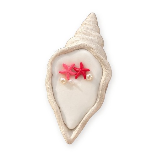 Handmade plaster conch - plaster,