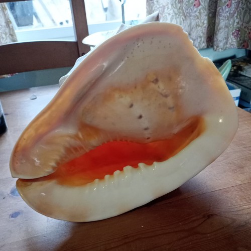 Extra large vintage - large,