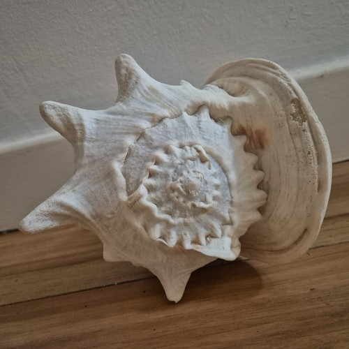 Large spiked horned helmet - spiked,