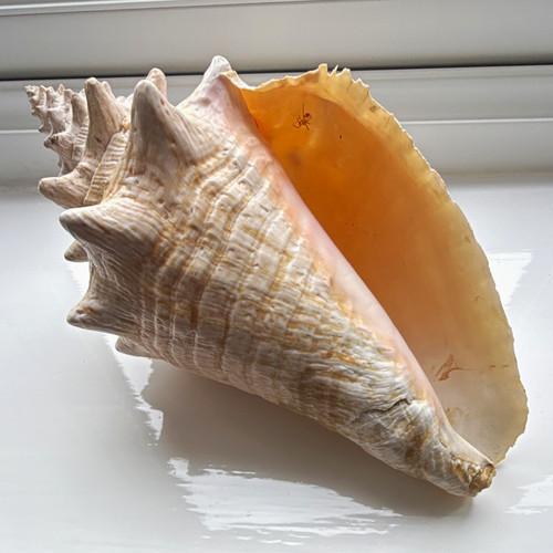 Large natural unpolished queen - large,