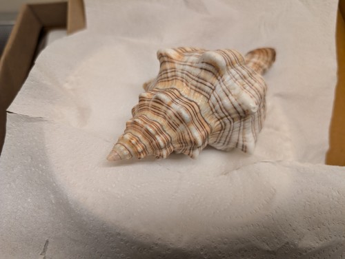 Vintage large striped - vintage,