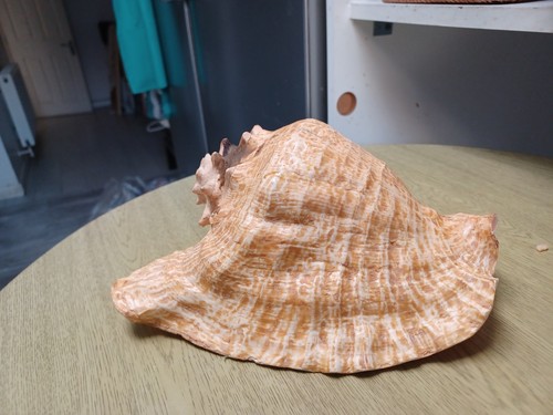 Vintage large pink - large,
