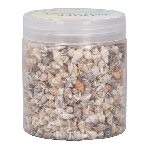 Can tiny sea shells non - tiny,