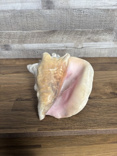 Medium natural 4kg queen - natural, 2.4kg