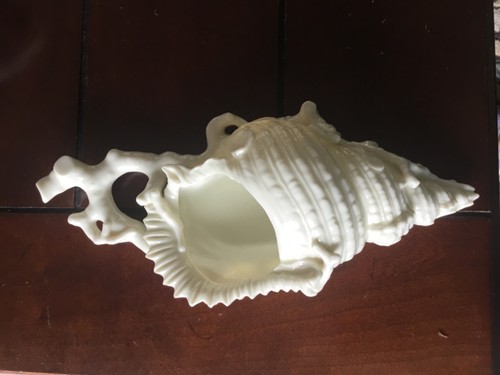 Antique royal worcester conch - antique,