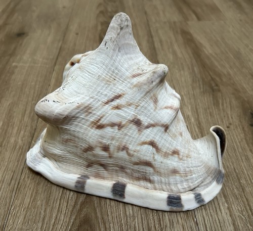 Large king helmet stripped - large,