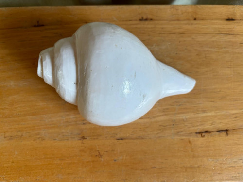 Blowing shankh indian conch - shankh,