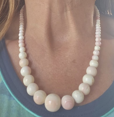Queen conch shell graduated - conch,