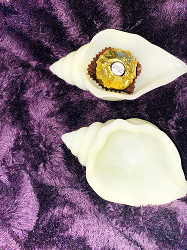 Pair white polished conch - of,