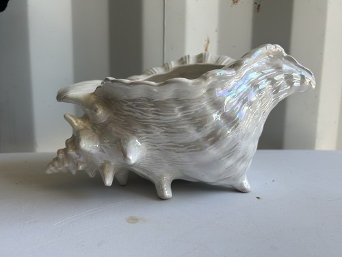 Vintage large conch - vintage,