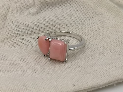 Queen conch shell - conch, tout