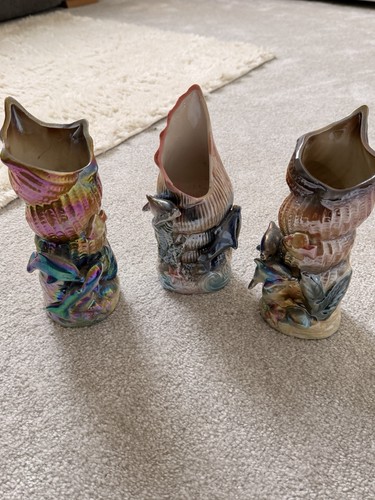 Conch shell vases - conch,