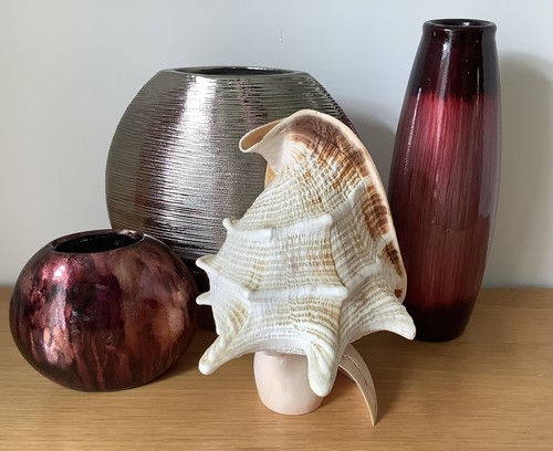 Conch shell good - good, condition