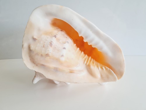 Vintage large peach cream - vintage,
