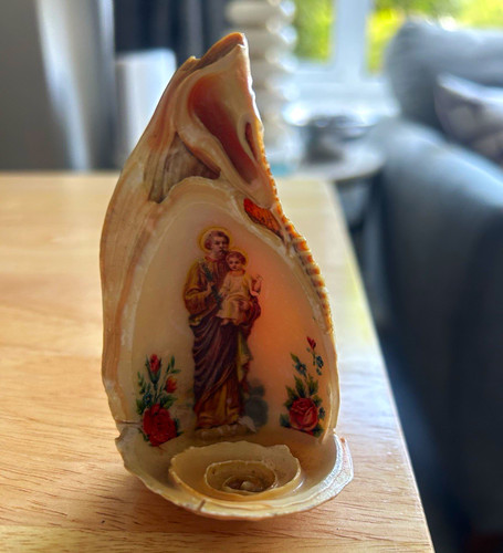 Polished decorative seashell - polished,