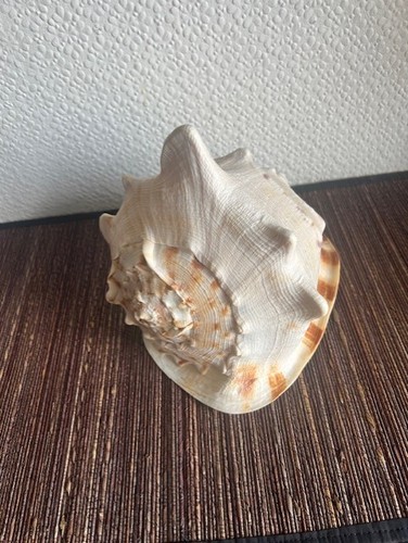 Natural large queen helmet - large,