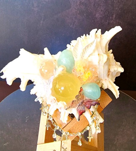 Stunning natural queen conch - stunning,