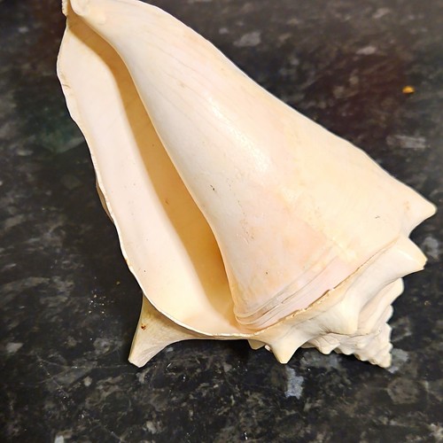 Large natural unpolished - large,