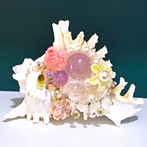 Beautiful queen conch shell - queen,